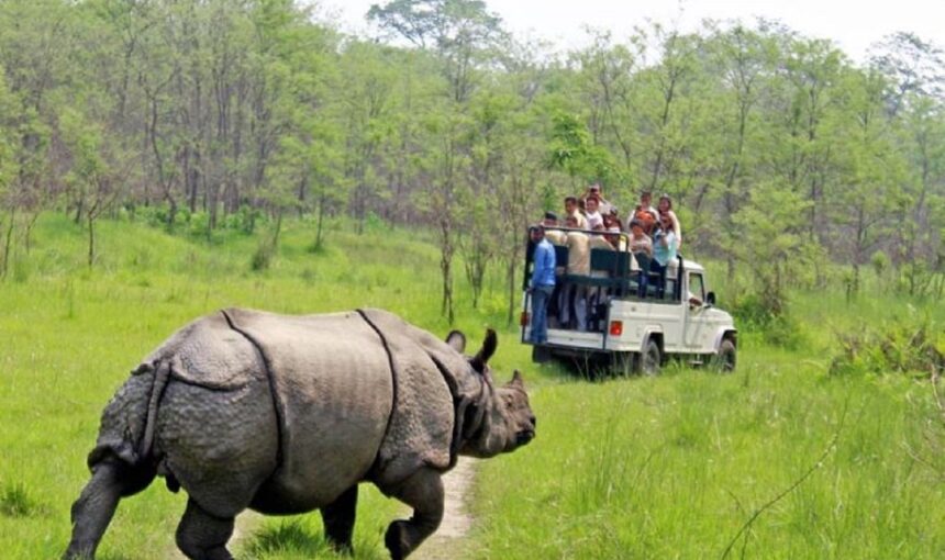 Chitwan Jungle Safari Tour