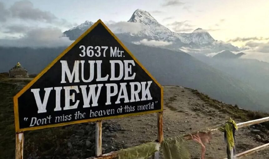 Mulde View Point Trek – The Hidden Sunrise